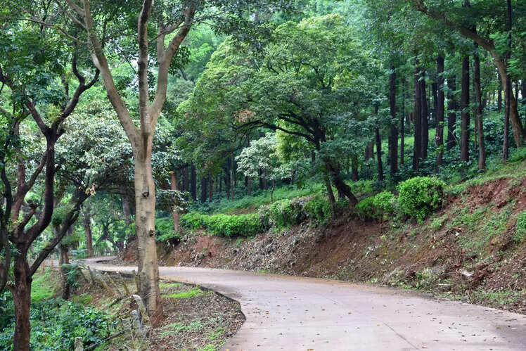 Kemmangundi, Karnataka