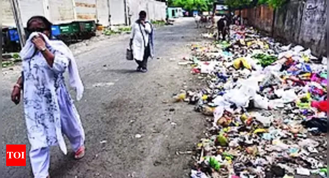 Littering: 37k Pay ₹2cr Fine For Littering In Public Last Yr | Nagpur ...