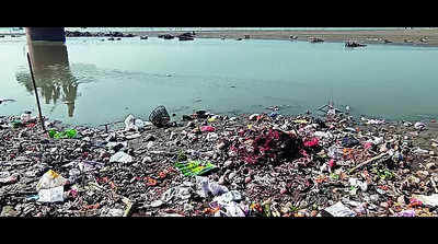 Water quality worsens after immersion of Durga idols