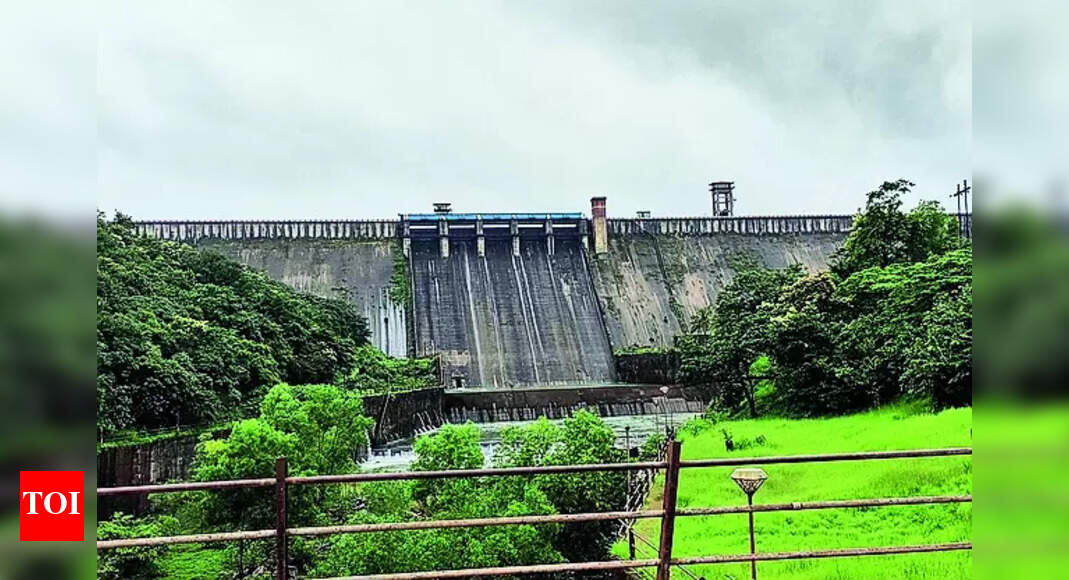 Sugar Cane Cultivation Irrigation Dept Asks Farmers To Restrict Sugar