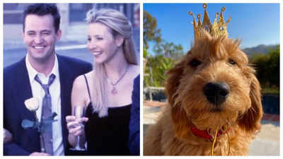 Furry Friends! Jennifer Aniston, Matthew Perry & more's cutest dog
