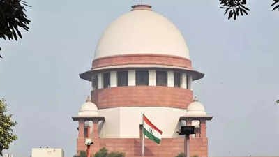 Supreme court slams lawyers for filing plea to declare Articles 20 and 22 'ultra vires', seeks explanation
