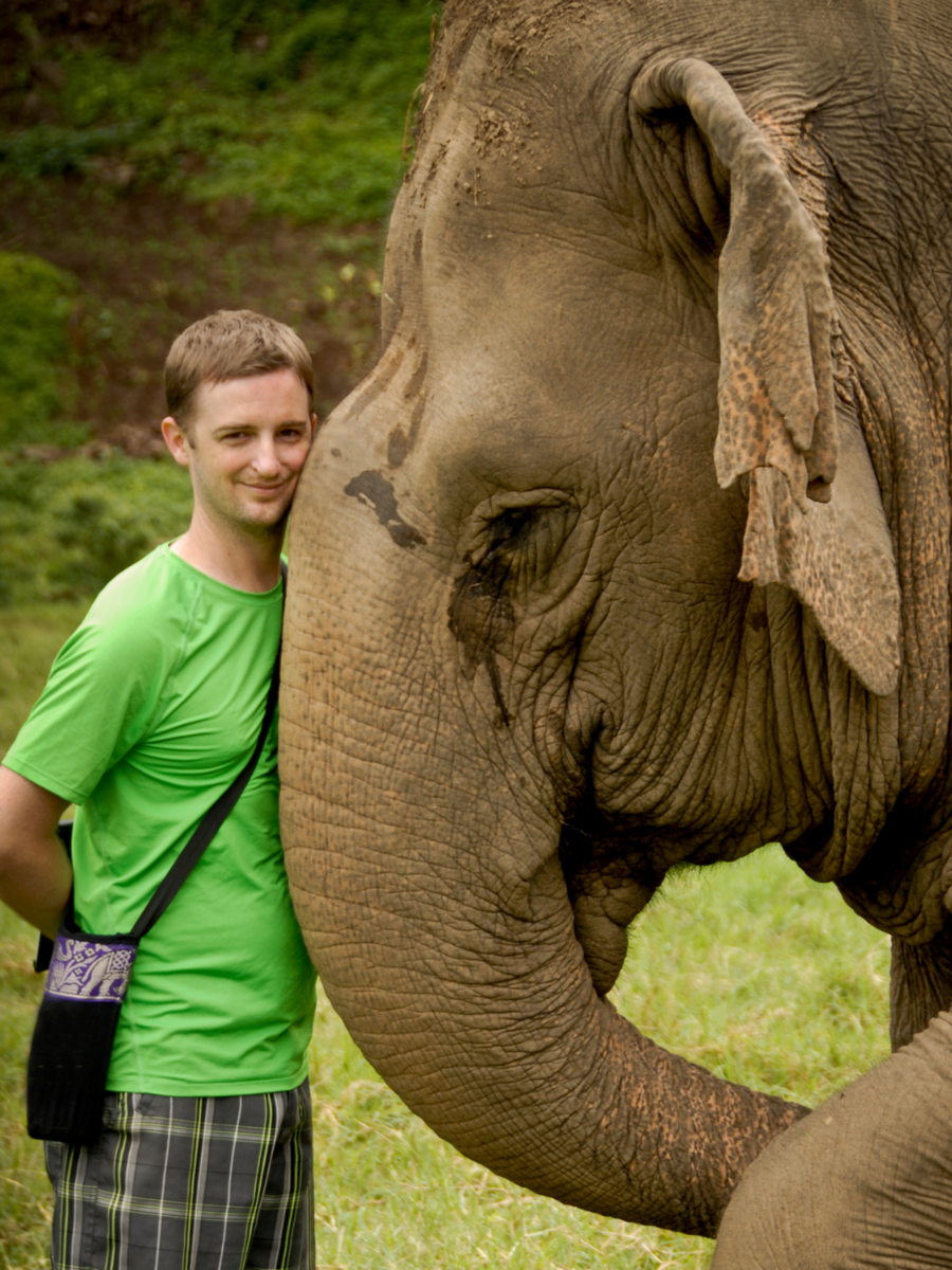 9-animals-that-are-most-loyal-to-humans-times-of-india