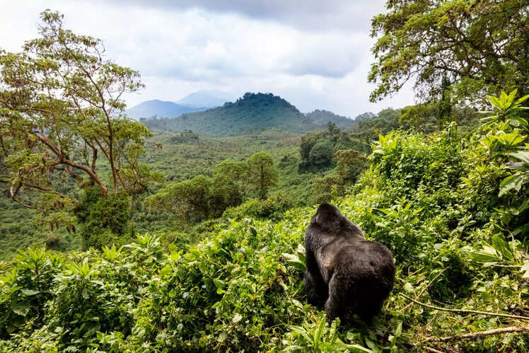 Rwanda