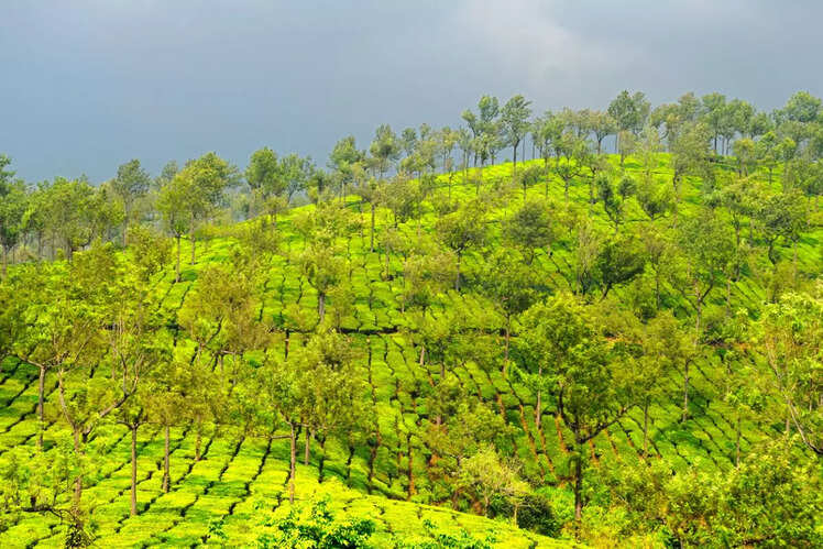 Madikeri