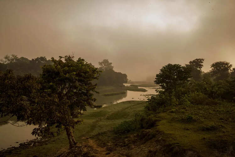 Scenic beauty of Kaziranga National Park