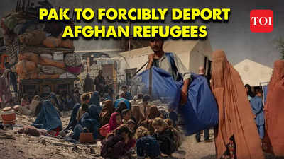 Pakistan set to forcibly deport lakhs of Afghan refugees amid strain in ties with Taliban