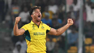 Australia's Marcus Stoinis travelling with an Indian chef during World Cup