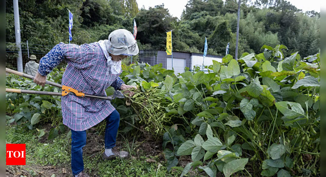 Explore organic farming’s careers and opportunities in sustainable agriculture