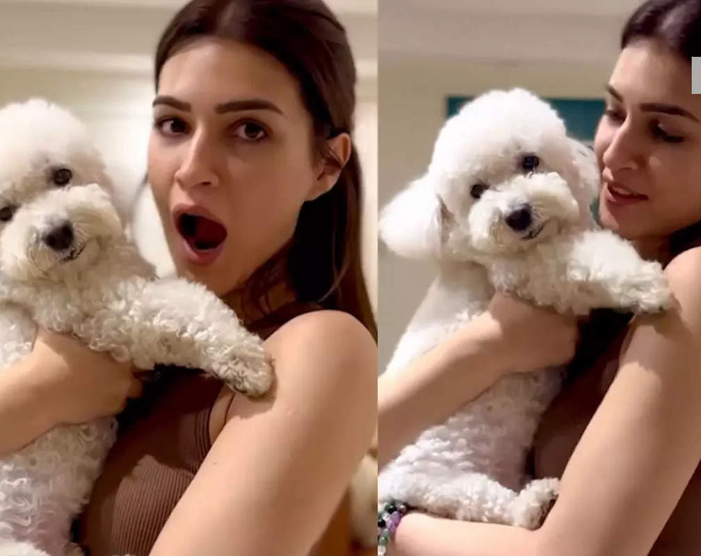 
Kriti Sanon is a doting dog mom; actress celebrates 7th birthday of her 'handsome' pet disco
