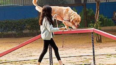 Bengaluru RWA charges Rs 10,000 fee for keeping pet in flat