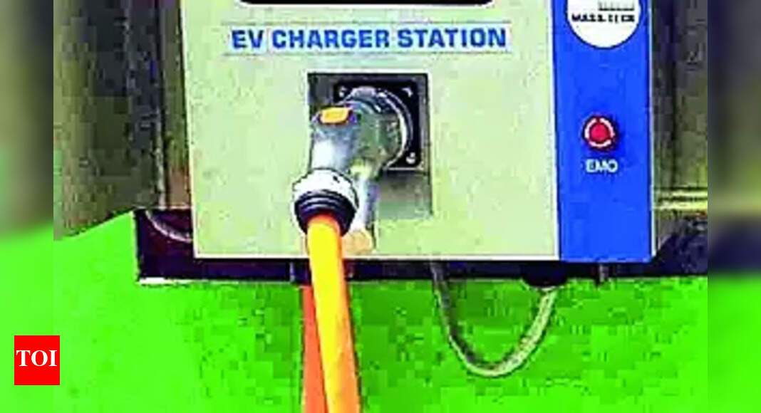 Rabies Vmc To Install 20 Ev Charging Stations Vadodara News Times