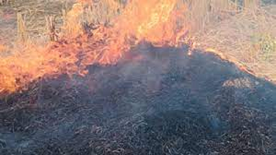 Over 1,000 farm fire cases in Pb, CM turf Sangrur tops list