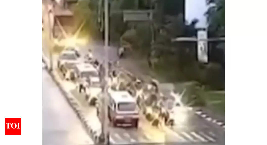 Viral videos shows what a car crash would look at various speeds