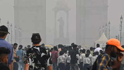 Air Pollution News Delhi: Centre Orders Ban On Non-essential ...