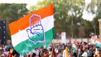 Nitish Kumar's remark understandable, but state polls important: Congress