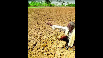 Subdued northeast monsoon double whammy for farmers