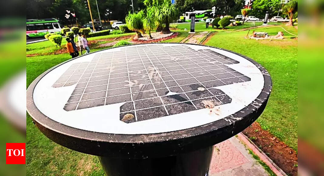 Rabies: Roundabouts Get Solar Lights, Chcc Kept In The Dark ...