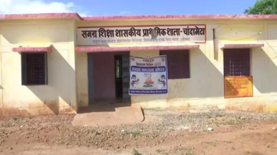 Chhattisgarh polls: Polling booth established for first time in Chandmeta, naxal-affected village of Bastar