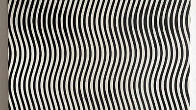 Optical Illusion: Can You Spot the Hidden Woman's Face in This Art? - Times  of India