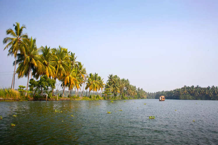 Ashtamudi Lake, Kerala
