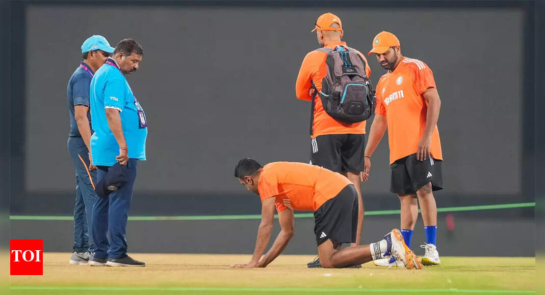 World Cup: India-England pitch rated average | Cricket News &ndash; Times of India