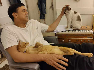 Wagle Ki Duniya's Rajesh Wagle aka Sumeet Raghavan cooks an omelet in the vanity room; says "Kisi pe bharosa mat rakhiye"