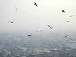 Delhi-NCR pollution pictures