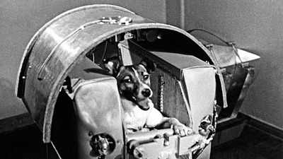 Today in history: In 1957, Soviet Union launched Sputnik 2 with space dog Laika aboard