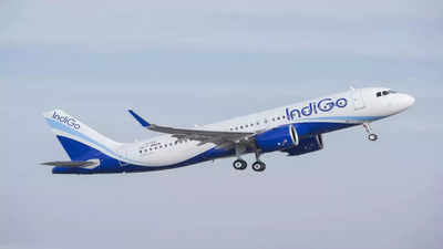 IndiGo's operator Interglobe Aviation reports Q2 profit