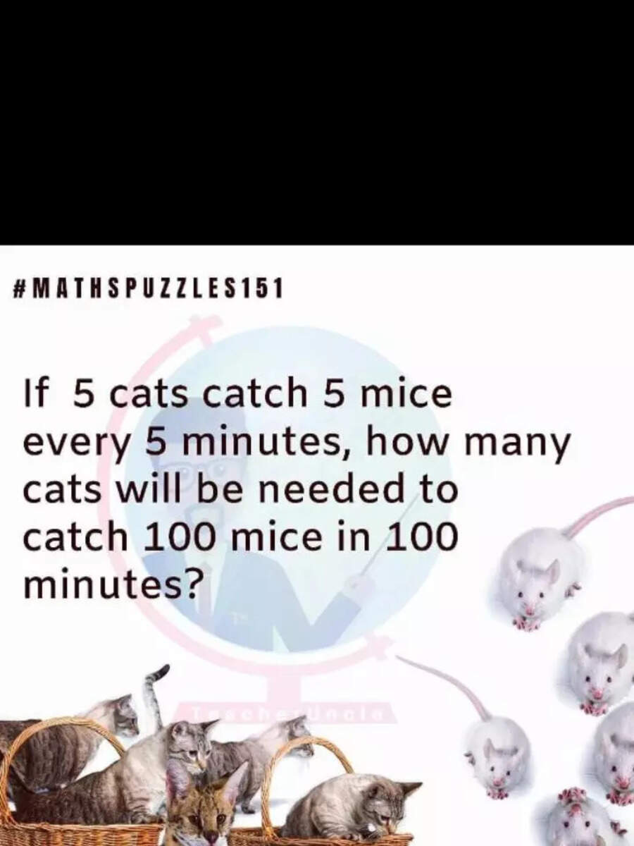 Brain Teaser Only A Genius Can Solve This CatMouse Question In 7