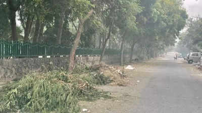 Noida: Civic issues continue to trouble residents