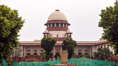 Don’t reduce Supreme Court to ‘tarikh pe tarikh’ court, says CJI Chandrachud