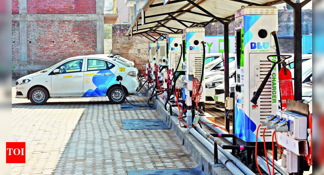 Rabies Vmc Panel Defers Decision On Ev Charging Stations Vadodara