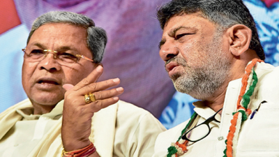 Karnataka politics: Caste report may be new battle in Siddaramaiah vs DK Shivakumar tussle