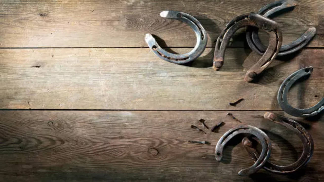 Horseshoe and its significance