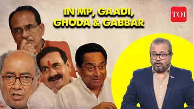 Madhya Pradesh's candidates have cars, jewellery and guns, reveal election affidavits