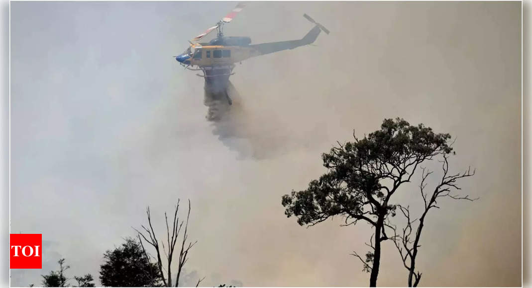 Three dead after plane crashes in Australia bushfire fight Times of India