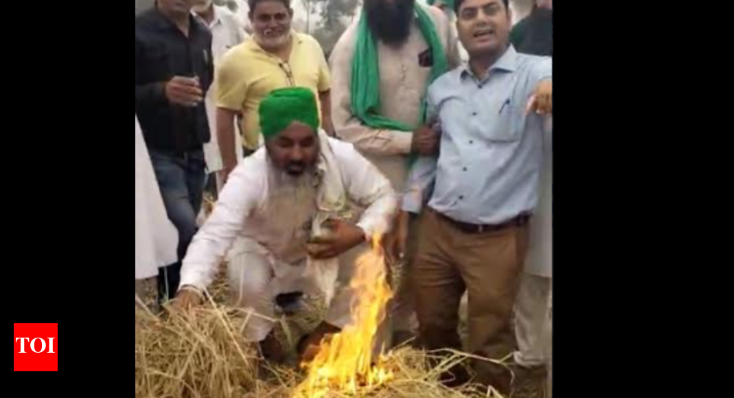 Punjab farmers force official to burn crop residue, FIR lodged | Chandigarh News