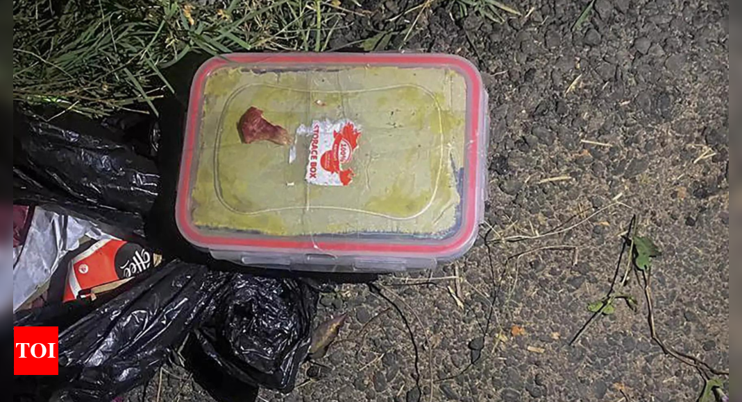 Ied: Tiffin box with 2kg IED planted on NH stretch in Jammu | India News