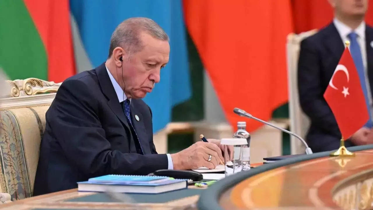 Turkey’s Erdogan calls for Gaza’s incorporation into an independent Palestinian state – Times of India