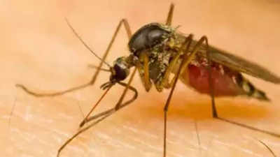 'TN has 6k dengue cases, no Zika'