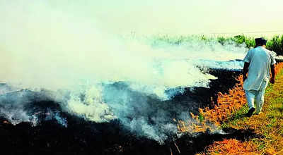 In Punjab, 10k farm fires in a week, more expected; Bathinda air worst