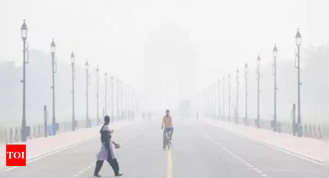 Air pollution may have adverse effects on foetus, warns top expert | India News – Times of India