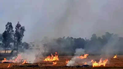 ‘Mob’ forces Punjab official to burn paddy straw; FIR filed