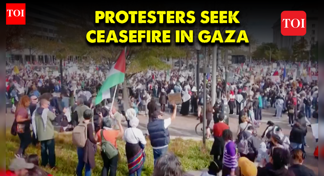 US: Thousands of protesters call for ceasefire in Gaza amid Israel’s ...