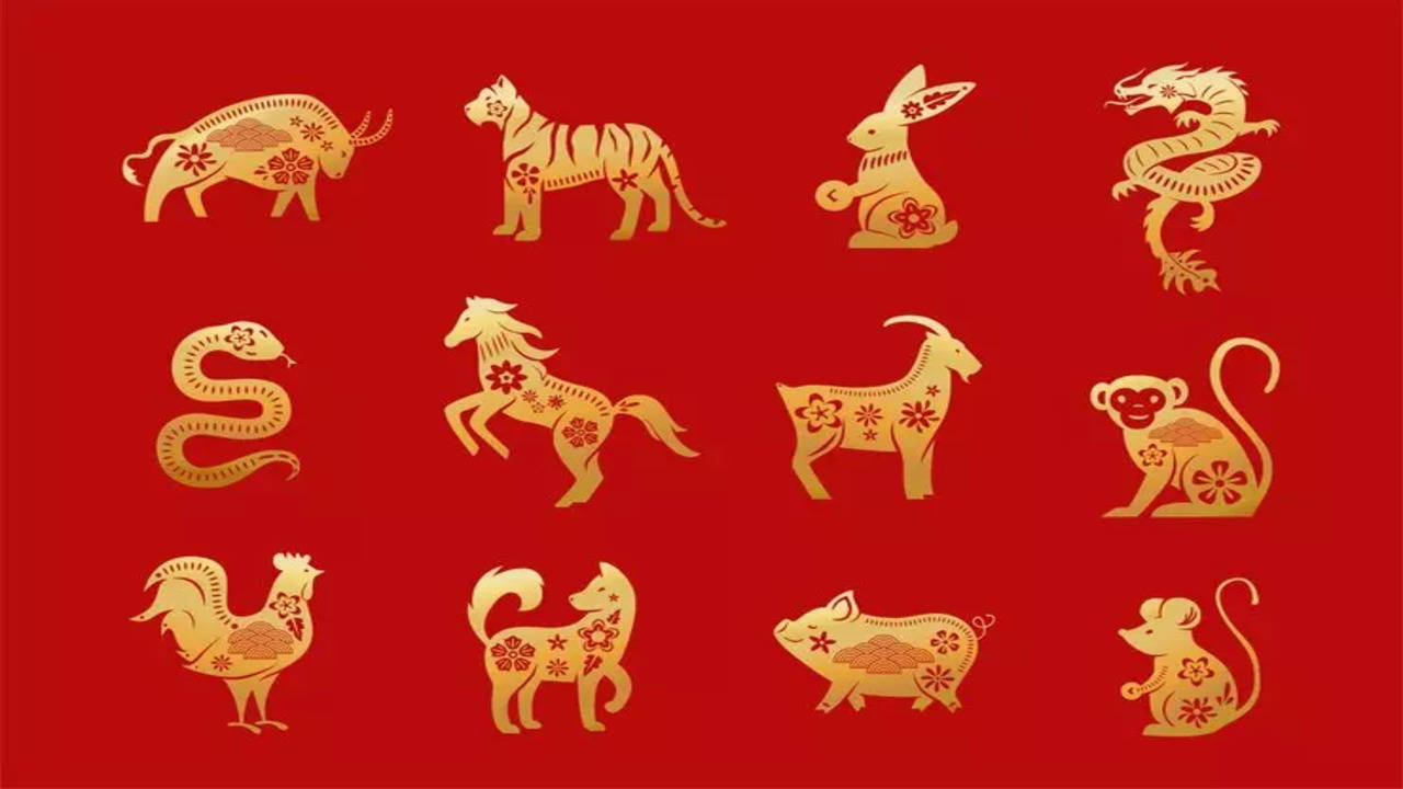How Chinese astrology shapes personalities: Exploring the 12