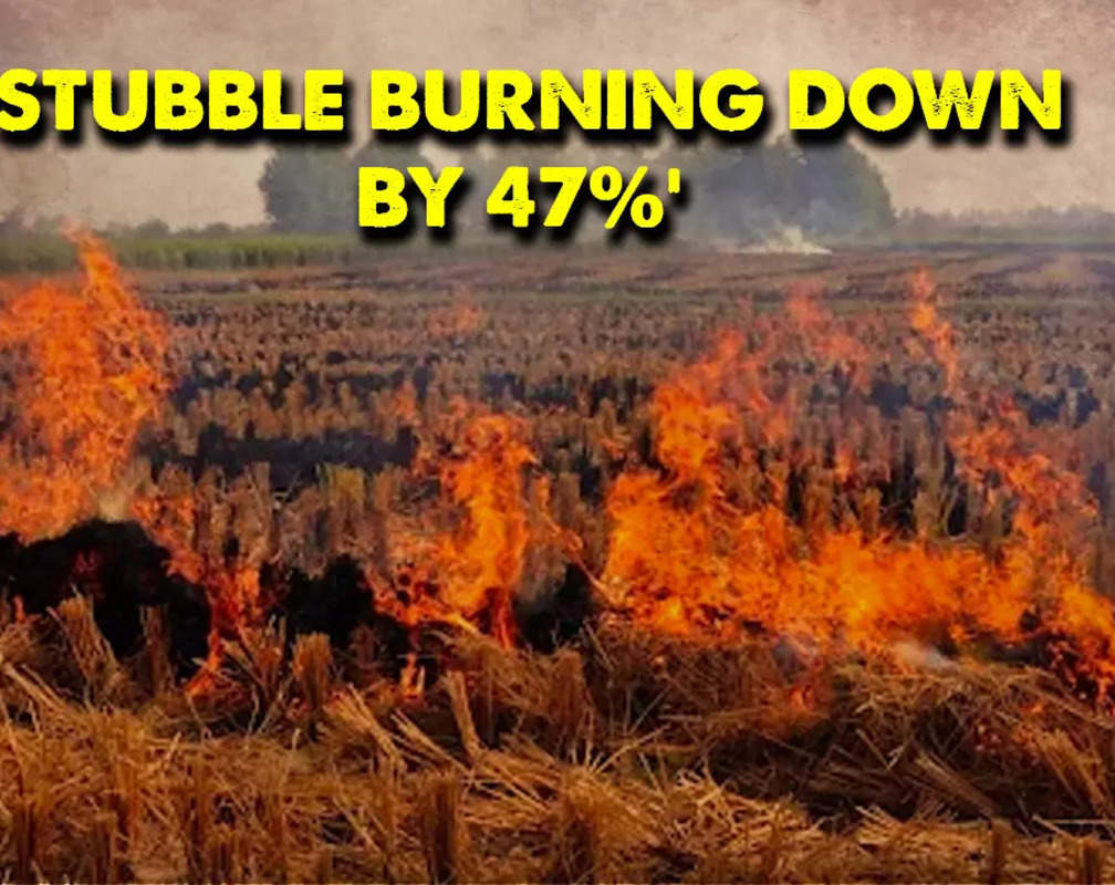 
Stubble Burning Cases: “47 percent incidents have reduced…” Punjab Agriculture Minister Gurmeet Singh Khudian
