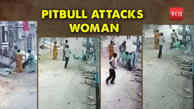 Caught on cam: Owner unleashes Pitbull onto woman for questioning dog's defecation near her home in Delhi's Swaroop Nagar