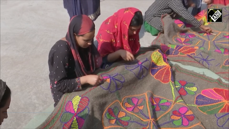 Empowering women from remote areas: J&K handicraft Dept opens training ...